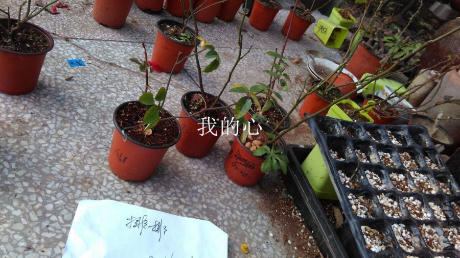 QQͼƬ20160114213953.jpg