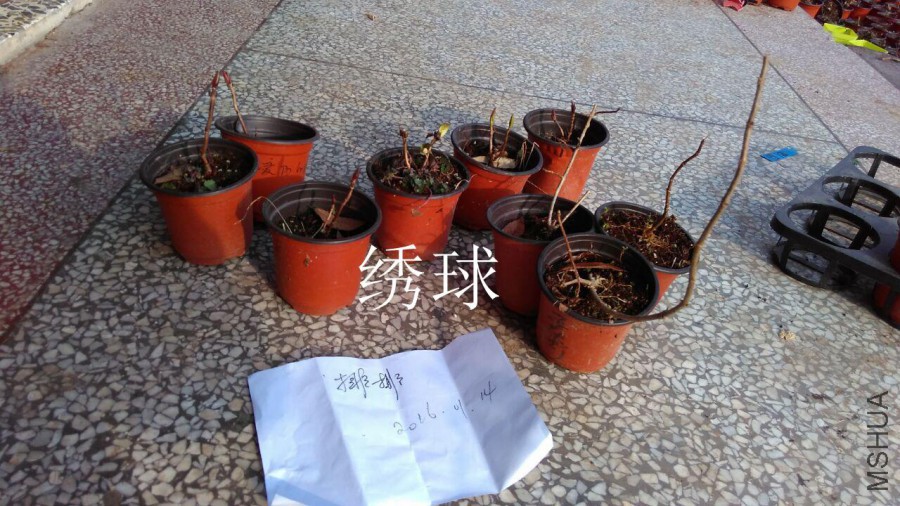 QQͼƬ20160114214123.jpg