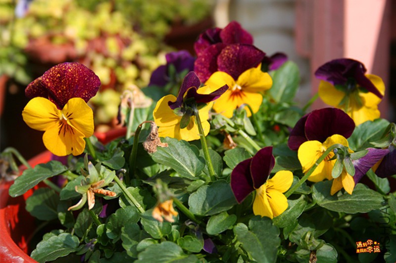 ��Ƭ 048_����.jpg