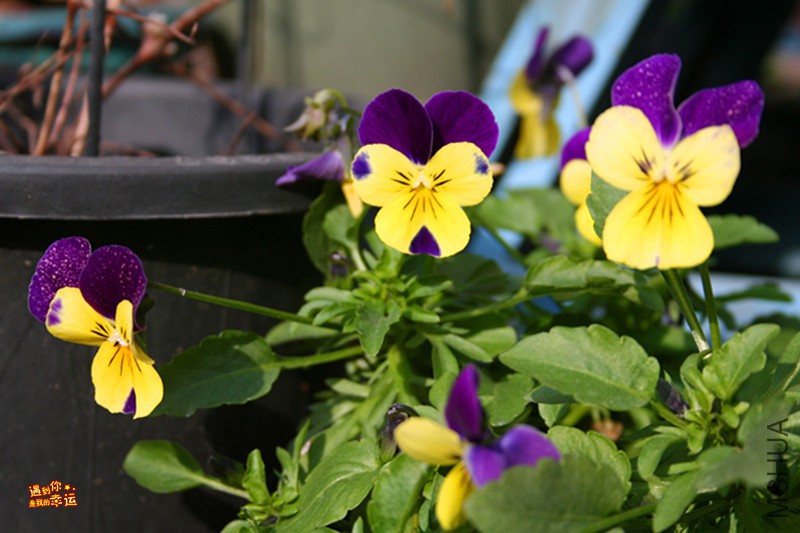 ��Ƭ 053_����.jpg