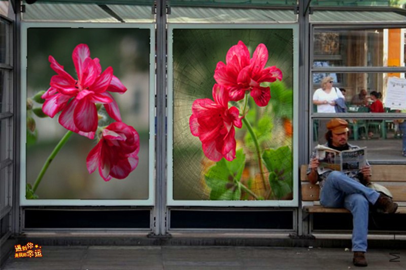 ��Ƭ 045_����.jpg