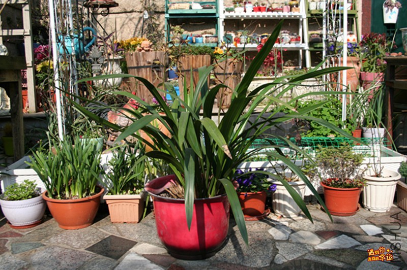 ��Ƭ 001_����.jpg