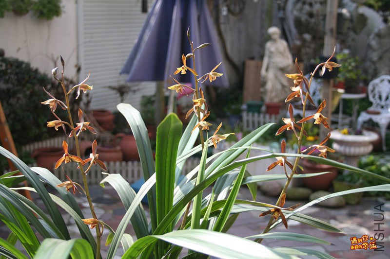 ��Ƭ 006_����.jpg