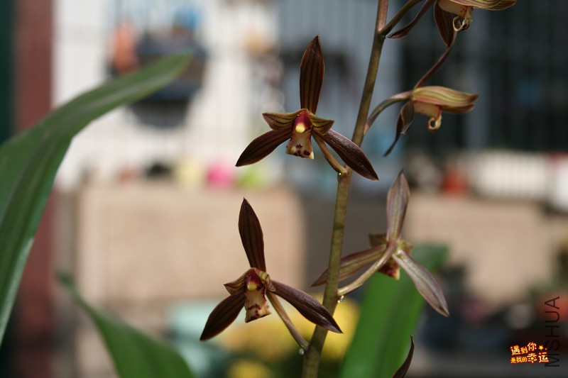 ��Ƭ 008_����.jpg