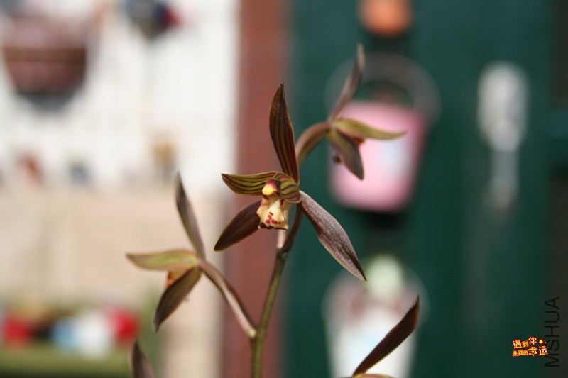 ��Ƭ 009_����.jpg