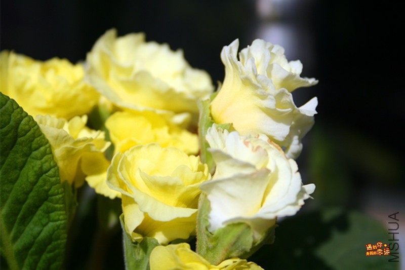 ��Ƭ 020_����.jpg