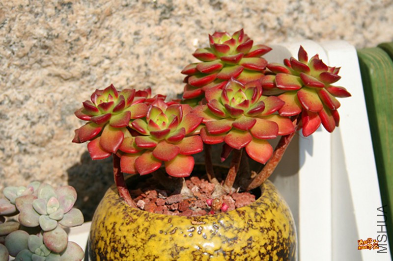 ��Ƭ 022_����.jpg