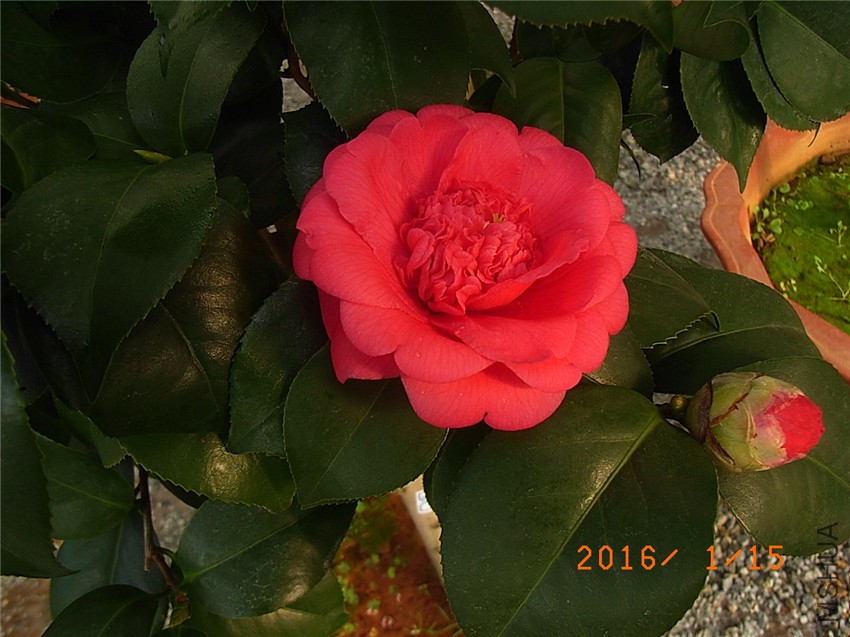 ���ƺ� (2).JPG