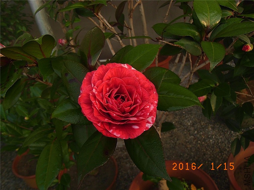 ���ڱ� (1).JPG