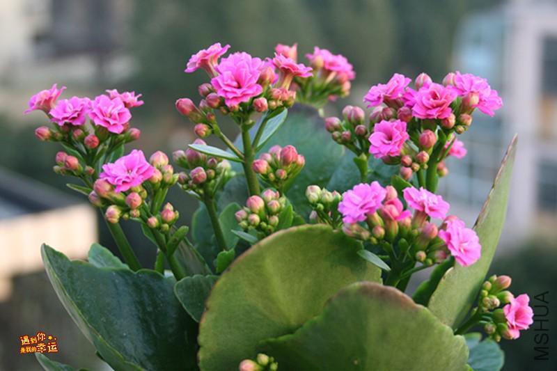 ��Ƭ 027_����.jpg