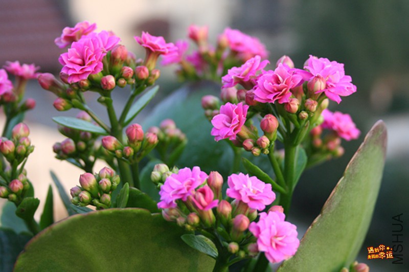 ��Ƭ 032_����.jpg