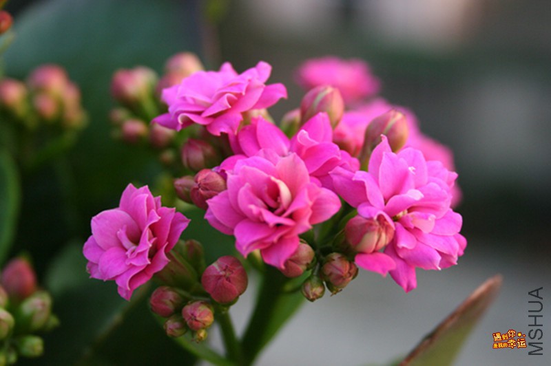 ��Ƭ 034_����.jpg