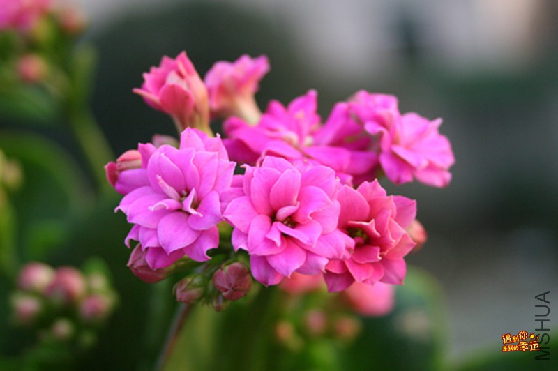 ��Ƭ 036_����.jpg