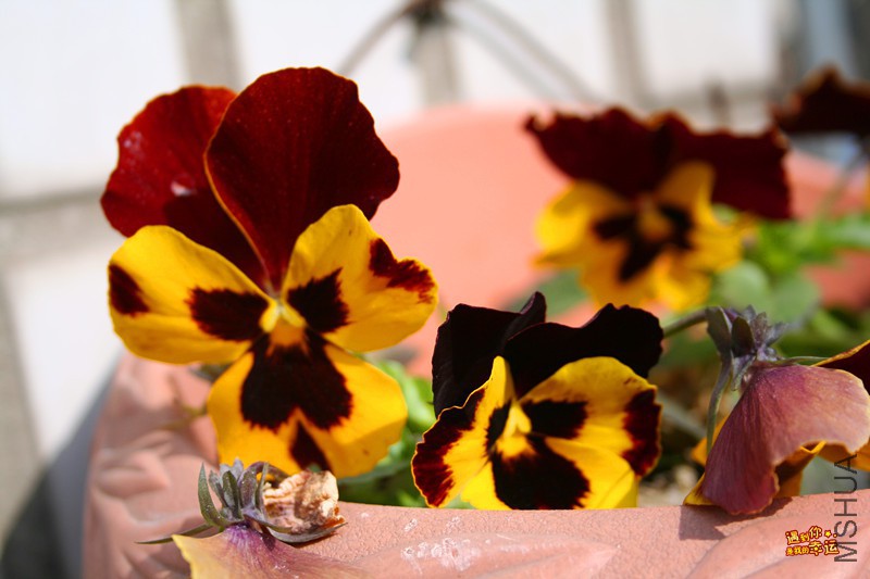 ��Ƭ 030_����.jpg