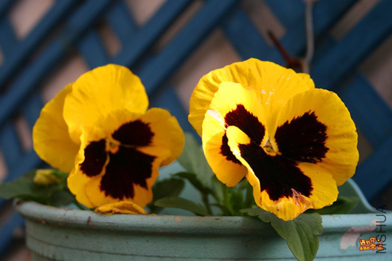 ��Ƭ 032_����.jpg