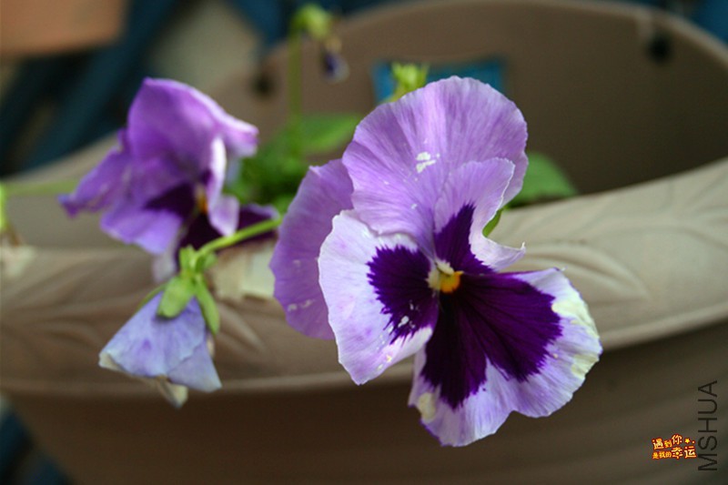 ��Ƭ 034_����.jpg