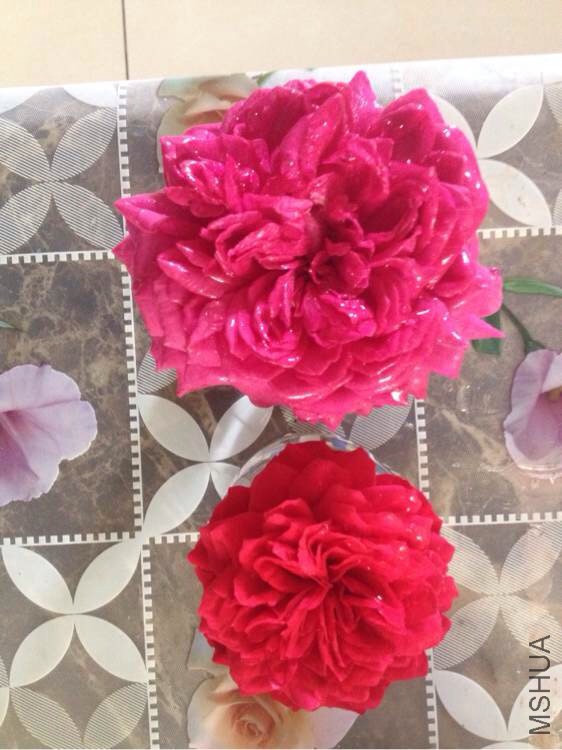 ��Ӱ���˺ʹ����Ա�