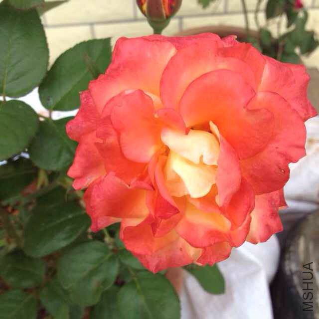 ��һ�䱾�����¼�