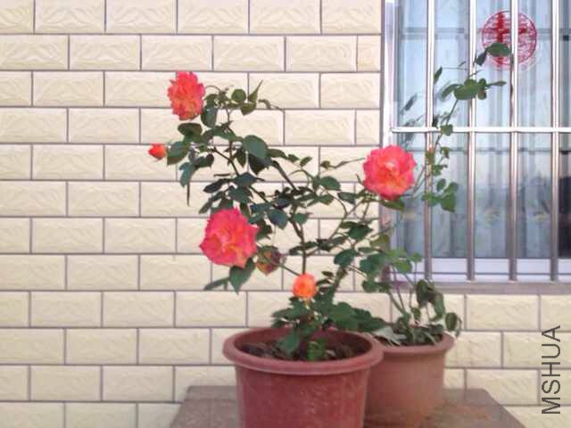 �������¼�