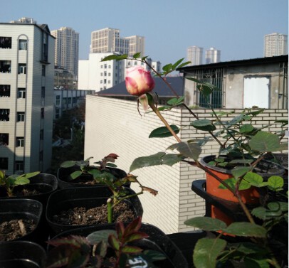 QQ��ͼ20160118144615.jpg