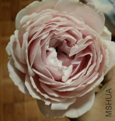 QQ��ͼ20160118144502.jpg