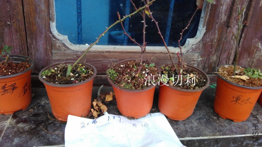 QQͼƬ20160118133217.jpg