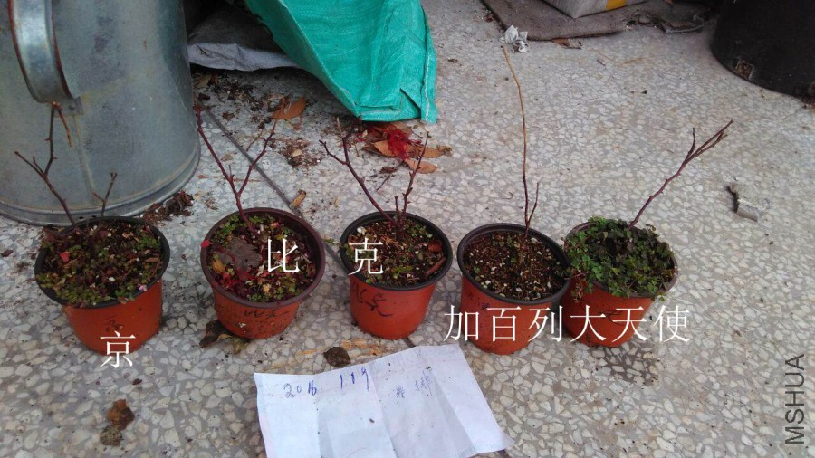 QQͼƬ20160118133220.jpg