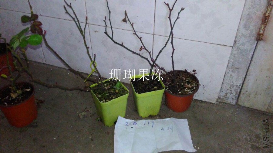 QQͼƬ20160118133223.jpg