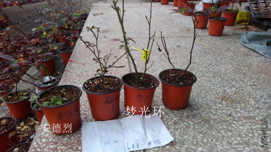 QQͼƬ20160118133236.jpg