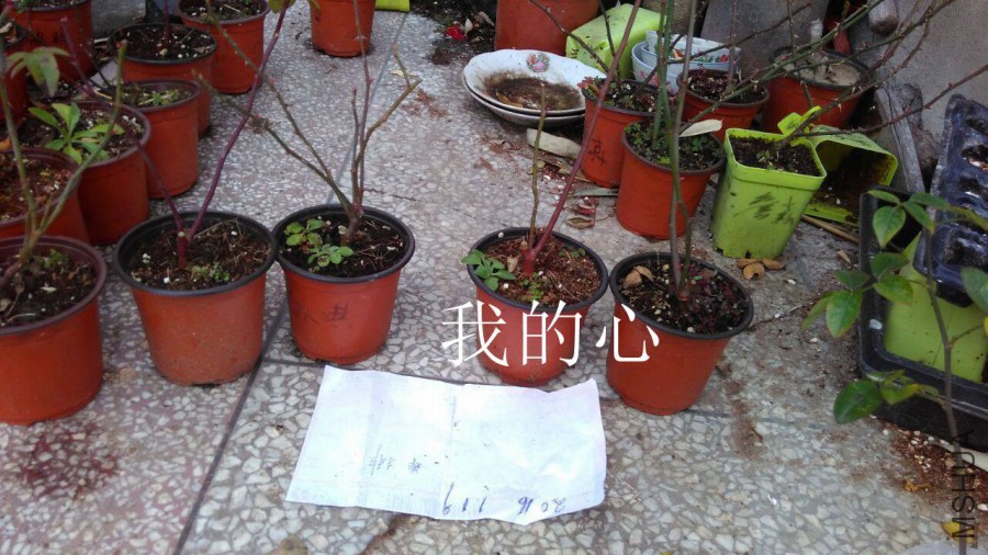 QQͼƬ20160118133241.jpg
