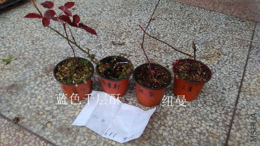 QQͼƬ20160118133245.jpg
