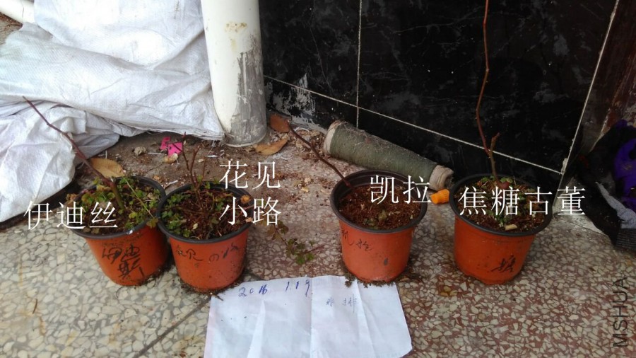 QQͼƬ20160118133258.jpg