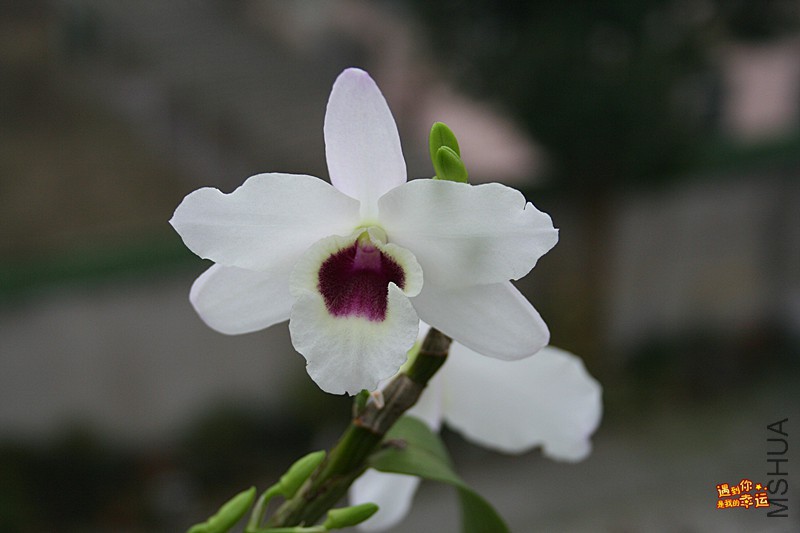 ��Ƭ 067_����.jpg