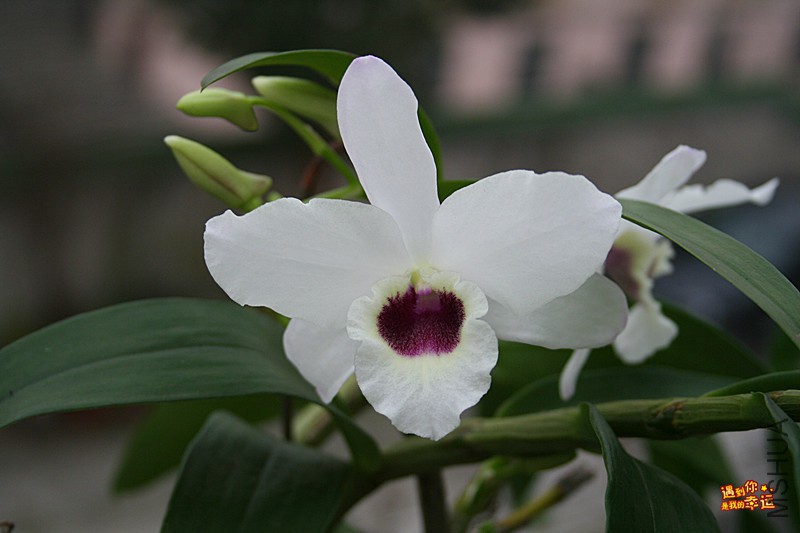 ��Ƭ 065_����.jpg