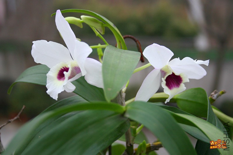 ��Ƭ 064_����.jpg