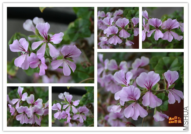 ��Ƭ 039_����.jpg