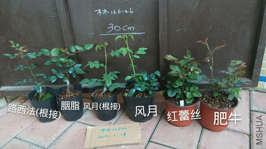 15a7c88016bfb861.jpg