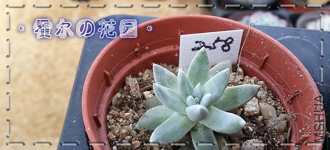 ��ŵ��.jpg