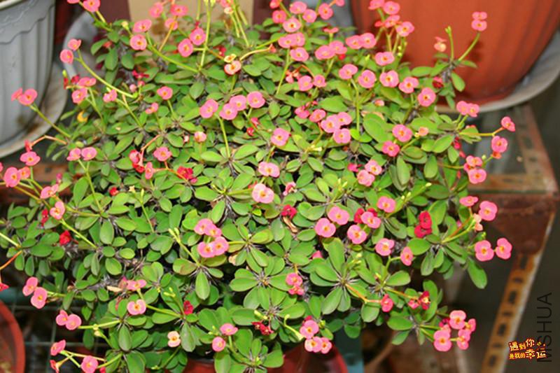 ��Ƭ 075_����.jpg