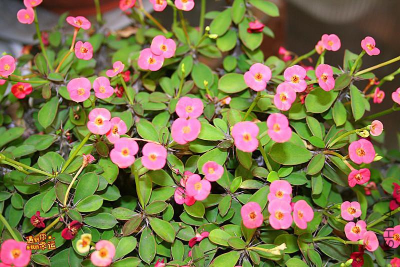 ��Ƭ 076_����.jpg