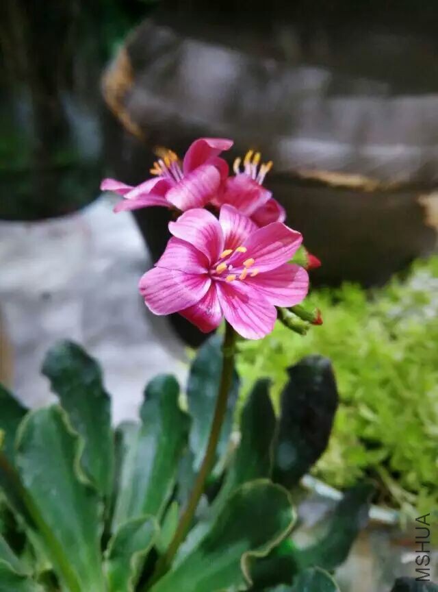 QQͼƬ20160120234149.jpg