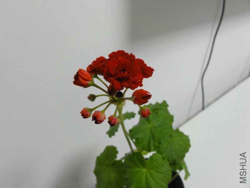 DSC00379.JPG