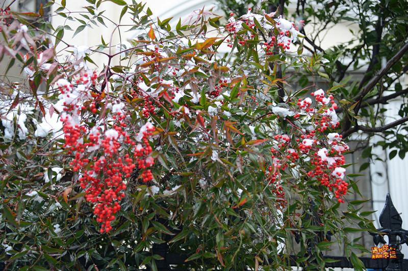 ��Ƭ 006_����.jpg