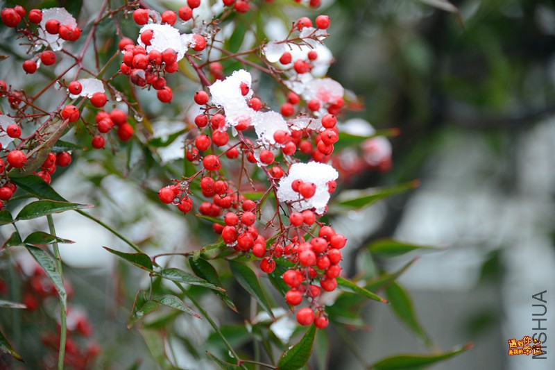 ��Ƭ 008_����.jpg