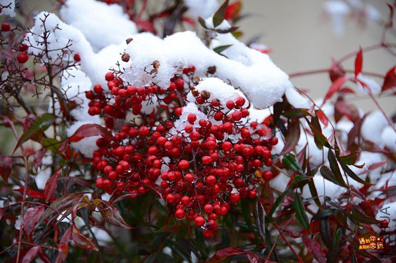 ��Ƭ 009_����.jpg