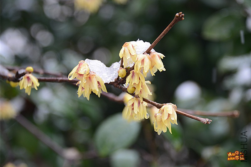 ��Ƭ 011_����.jpg