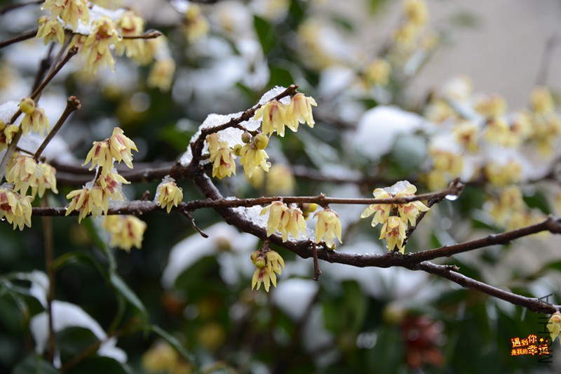 ��Ƭ 010_����.jpg