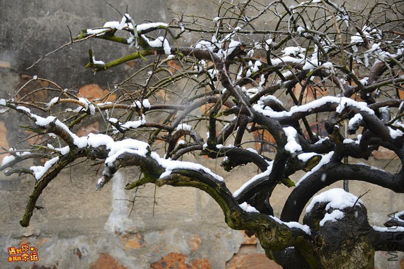 ��Ƭ 051_����.jpg