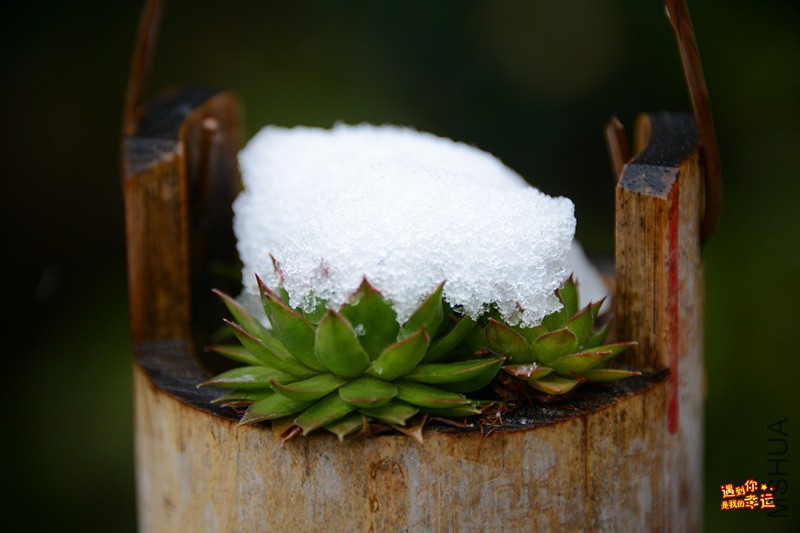 ��Ƭ 108_����.jpg