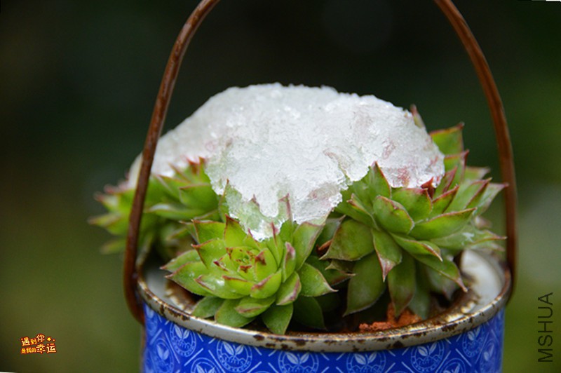 ��Ƭ 111_����.jpg